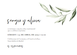 6690928230584 design preview