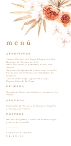 118 MENU 9.5X19.5 BOHO CHIC: 7733631287549