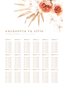118 PLANO ASIENTOS BOHO CHIC: 7733631287549