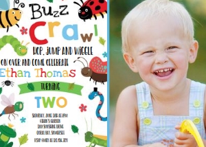 Bug B1 Photo design preview