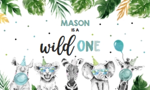 WILDONESBD/03: WILDONESBD/04