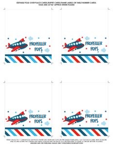 AIRPLANEFL1/01 design preview