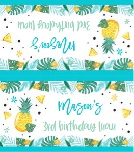 Pineapple/TBT/04: Pineapple/TBT/03