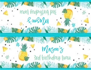 Pineapple/TBT/03: Pineapple/TBT/03