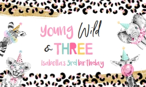 YW&3SABD/02: YW&3SABD/01