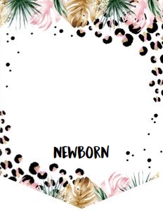 WildJungle/MB/01: WildJungle/MB/01