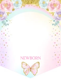 Butterfly/MB/02: Butterfly/MB/02