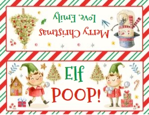 ELFPOOPTAG/01: ELFPOOPTAG/01