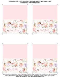 FAIRYFOODGT/01: FAIRYFOODGT/01