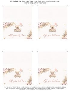 BOHOTEDDYFL/09 design preview
