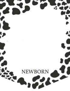 BoyCow/MB/01 design preview