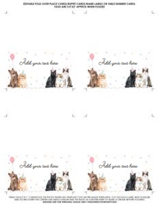 Cat/FFL/01: Cat/FFL/01