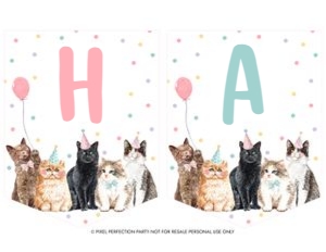 Cat/AZB/01: Cat/AZB/01