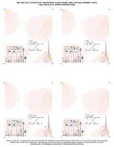 Paris/FFL/01 design preview