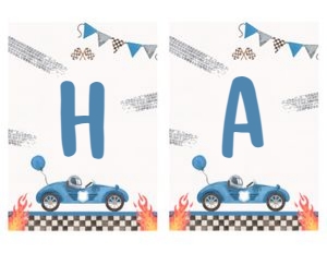 BRaceCar/AZB/03: BRaceCar/AZB/03