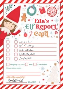 ELFREPORTAQ8G/09 design preview