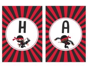 Ninja/AZB/01 design preview
