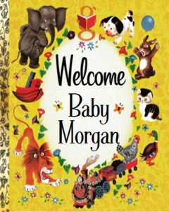 DI-4527WDP_WELCOME_BABY_SIGN_GOLDENBOOK_DIGITAL: SW4527 BUNDLE