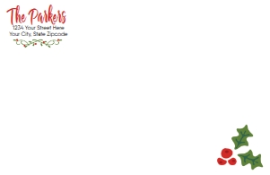 SW10214 ENVELOPE PRINTED: SW10214 PRINTED