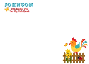 SW341 PRINTED ENVELOPE INVITE: SW341 PRINTED