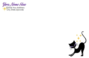 12869 PRINTED ENVELOPE: 12869 PRINTED