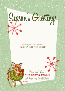 HOL711 PRINTED CARD: HOL711 PRINTED
