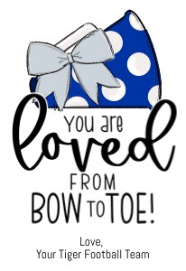 HT282q - Silver-Royal Blue: HT282q - Silver-Royal Blue