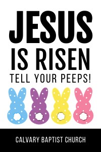 HT386 - Jesis is Risen Peeps Tag design preview