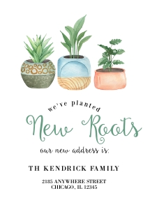 Planted New Roots Announcement -1: Planted New Roots Announcement -1