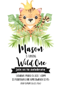 Wild one lion: lion wild one