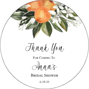 orange 2inch circle: orange 2inch circle