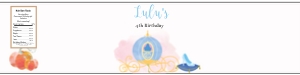 Cinderella Bottle design preview