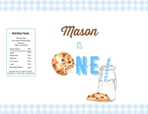 Cookie Chip bag design preview