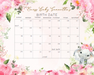 224 Pink Spring Floral Elephant Baby Shower Calendar 10x8: 224 Pink Spring Floral Elephant Baby Shower Calendar