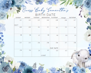 226 Blue Spring Floral Elephant Baby Shower Calendar 10x8: 226 Blue Spring Floral Elephant Baby Shower Calendar