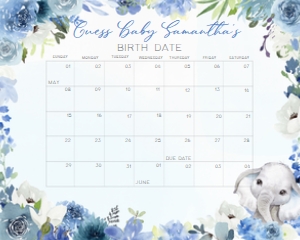 226 Blue Spring Floral Elephant Baby Shower Calendar 20x16: 226 Blue Spring Floral Elephant Baby Shower Calendar