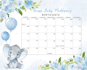 231 Blue Elephant Baby Shower Calendar 10x8: 231 Blue Elephant Baby Shower Mega Bundle