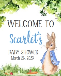 235 Peter Rabbit Baby Shower Welcome Sign 16x20: 235 Peter Rabbit Baby Shower Welcome Sign