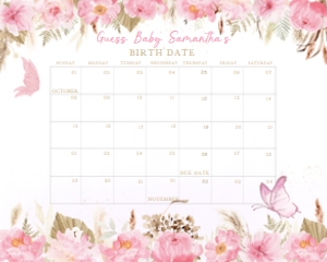234 Pink Butterfly Baby Shower Calendar 20x16: 234 Pink Butterfly Baby Shower Calendar
