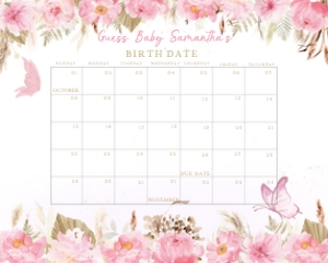 234 Pink Butterfly Baby Shower Calendar 10x8: 234 Pink Butterfly Baby Shower Calendar