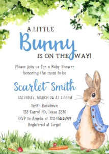 235 Peter Rabbit Baby Shower Invitation: 235 Peter Rabbit Baby Shower Invitation