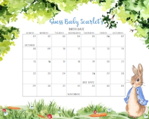 235 Peter Rabbit Baby Shower Calendar design preview