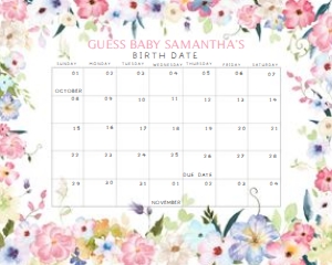 236 Baby in Bloom Baby Shower Calendar 10x8: 236 Baby in Bloom Baby Shower Calendar