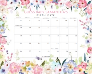 236 Baby in Bloom Baby Shower Calendar 20x16: 236 Baby in Bloom Baby Shower Calendar