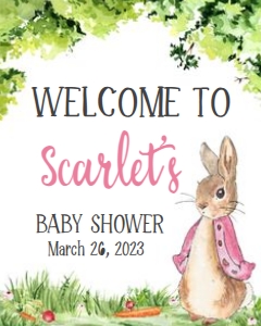 241 Pink Peter Rabbit Baby Shower Welcome Sign 16x20: 241 Pink Peter Rabbit Baby Shower Welcome Sign