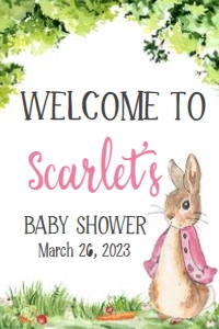 241 Pink Peter Rabbit Baby Shower Welcome Sign 20x30: 241 Pink Peter Rabbit Baby Shower Welcome Sign