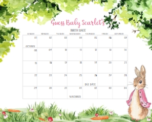 241 Pink Peter Rabbit Baby Shower Calendar 20x16: 241 Pink Peter Rabbit Baby Shower Calendar