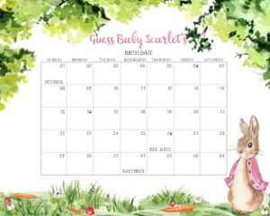 241 Pink Peter Rabbit Baby Shower Calendar 10x8: 241 Pink Peter Rabbit Baby Shower Calendar