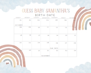 252 Boho Rainbow Baby Shower Calendar 20x16: 252 Boho Rainbow Baby Shower Calendar