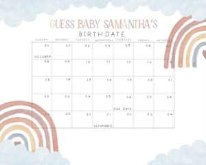 252 Boho Rainbow Baby Shower Calendar 10x8: 252 Boho Rainbow Baby Shower Calendar